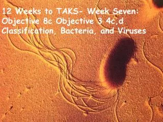 12 Weeks to TAKS- Week Seven: Objective 8c Objective 3 4c,d Classification, Bacteria, and Viruses