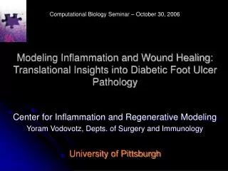 Modeling Inflammation and Wound Healing: Translational Insights into Diabetic Foot Ulcer Pathology