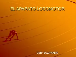 el aparato locomotor