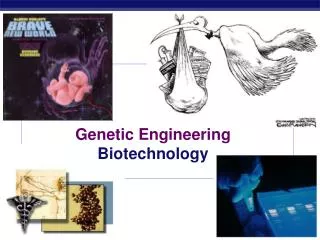 Genetic Engineering Biotechnology