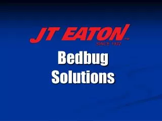 Bedbug Solutions