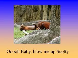Ooooh Baby, blow me up Scotty