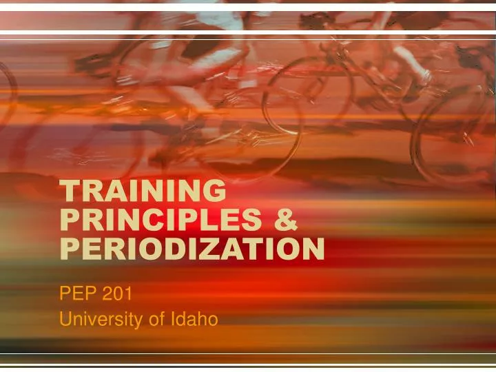 training principles periodization