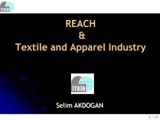REACH &amp; Textile and Apparel Industry