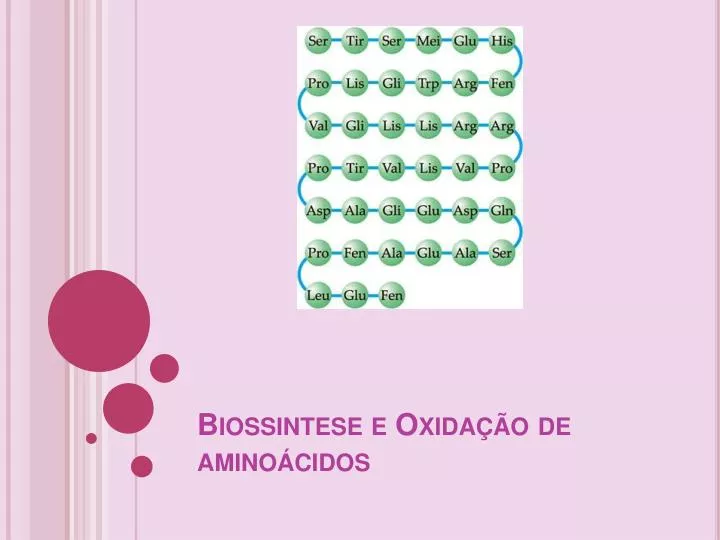biossintese e oxida o de amino cidos