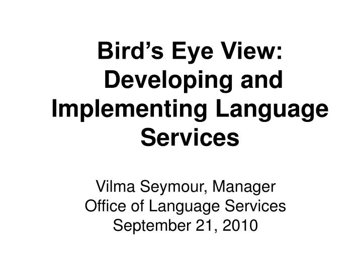bird s eye view developing and implementing language services