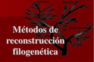 Métodos de reconstrucción filogenética
