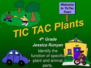 TIC TAC Plants