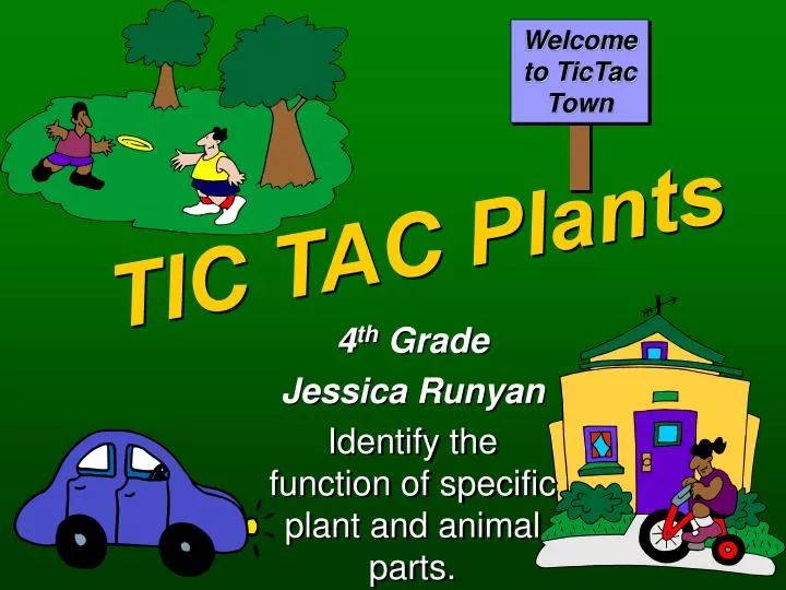 tic tac plants