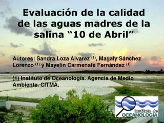 Evaluación de la calidad de las aguas madres de la salina “10 de Abril”