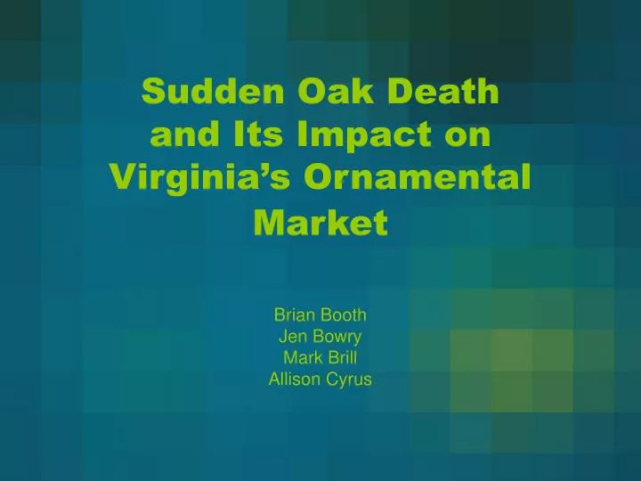 sudden oak death and its impact on virginia s ornamental market