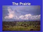 The Prairie - slide 1
