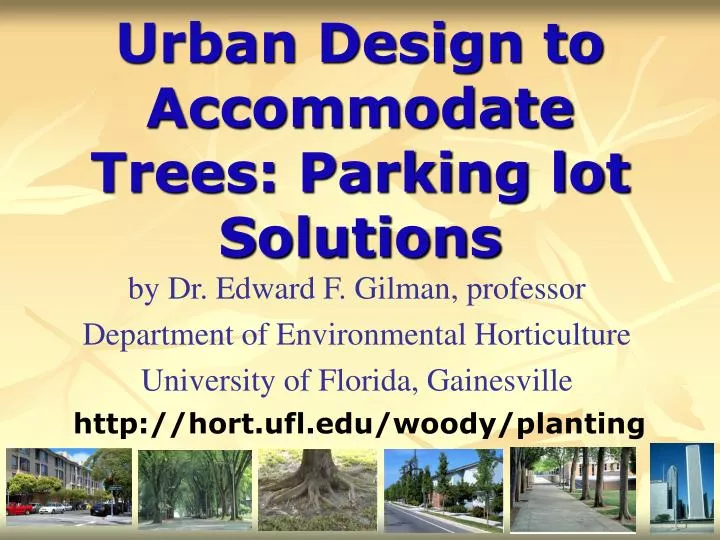 urban design to accommodate trees parking lot solutions