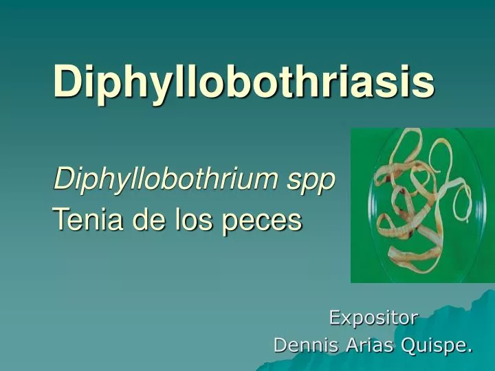 diphyllobothriasis diphyllobothrium spp tenia de los peces