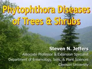 Phytophthora Diseases of Trees &amp; Shrubs