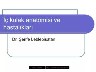 kulak anatomisi ve hastal klar