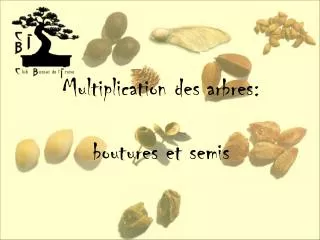 Multiplication des arbres: boutures et semis