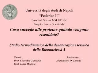 Università degli studi di Napoli “Federico II” Facoltà di Scienze MM. FF. NN. Progetto Lauree Scientifiche