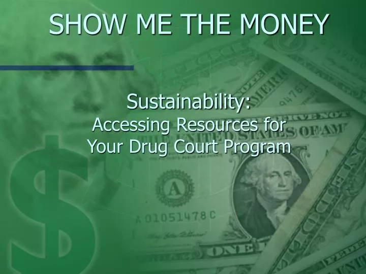 show me the money sustainability accessing resources for your drug court program