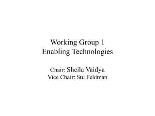 Working Group 1 Enabling Technologies Chair: Sheila Vaidya Vice Chair: Stu Feldman