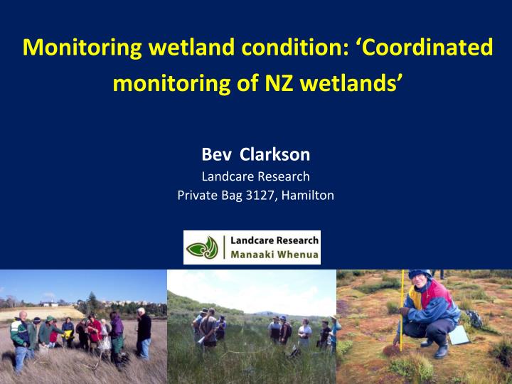 monitoring wetland condition coordinated monitoring of nz wetlands