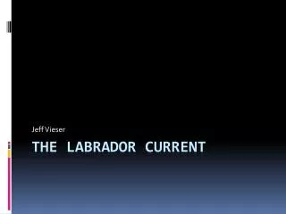 The Labrador Current
