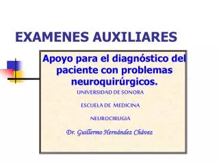 EXAMENES AUXILIARES