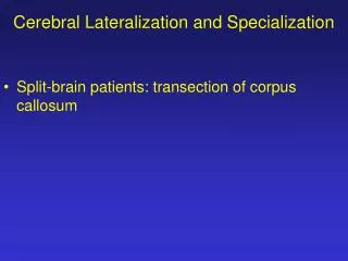 Cerebral Lateralization and Specialization