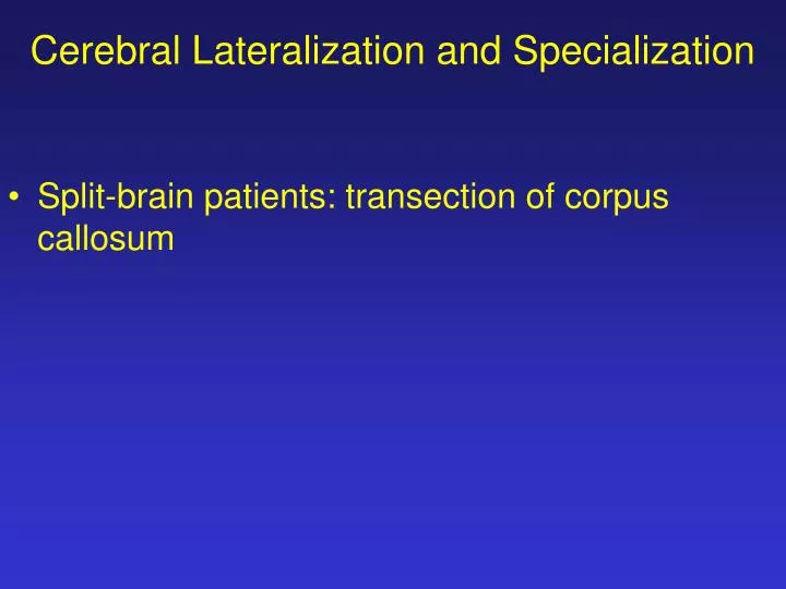 cerebral lateralization and specialization