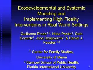 Ecodevelopmental and Systemic Modeling and Implementing High Fidelity Interventions in Real World Settings