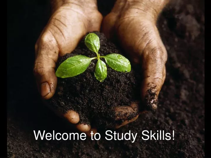 welcome to study skills