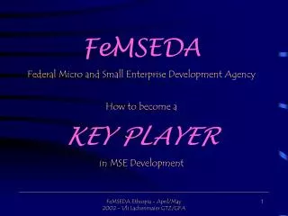 FeMSEDA Federal Micro and Small Enterprise Development Agency How to become a KEY PLAYER in MSE Development
