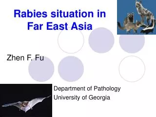 Rabies situation in Far East Asia