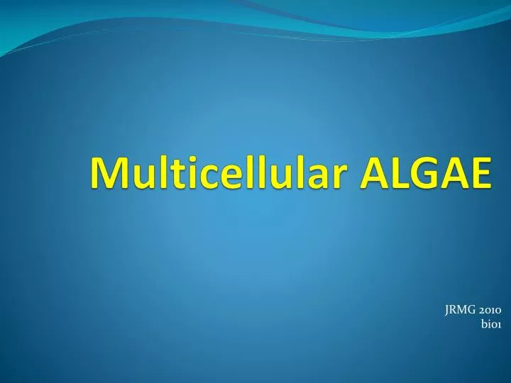 multicellular algae