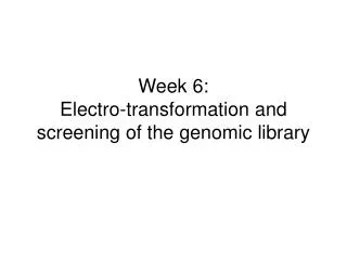Week 6: Electro-transformation and screening of the genomic library