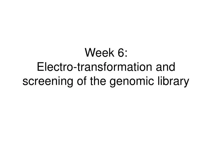 week 6 electro transformation and screening of the genomic library