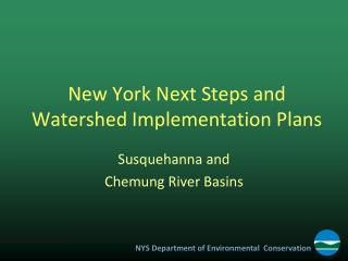 New York Next Steps and Watershed Implementation Plans