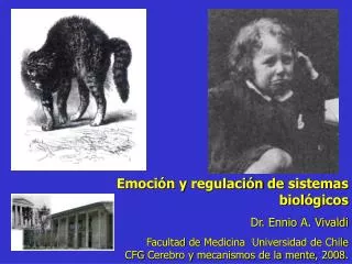Emoción y regulación de sistemas biológicos Dr. Ennio A. Vivaldi Facultad de Medicina Universidad de Chile