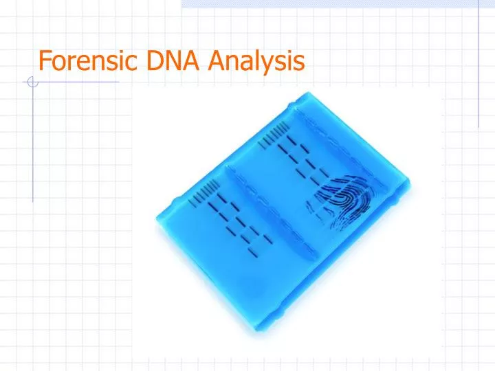 forensic dna analysis