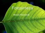 Fotosinteza - slide 1