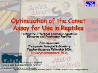 Optimization of the Comet Assay for Use in Reptiles