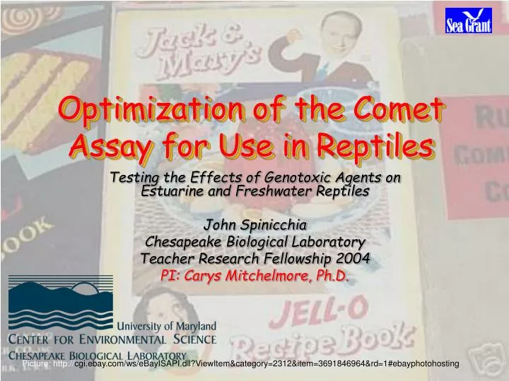 optimization of the comet assay for use in reptiles