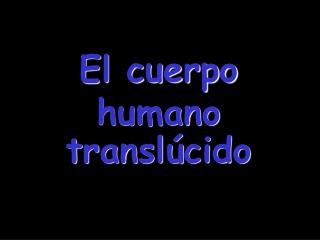 El cuerpo humano translúcido