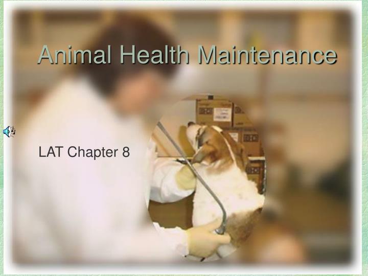 animal health maintenance