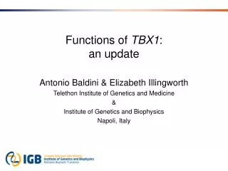 Functions of TBX1 : an update