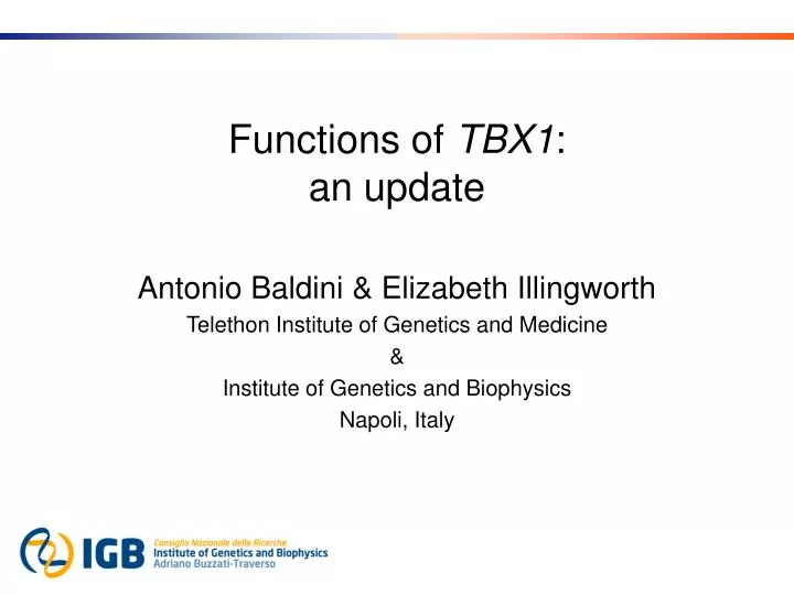functions of tbx1 an update