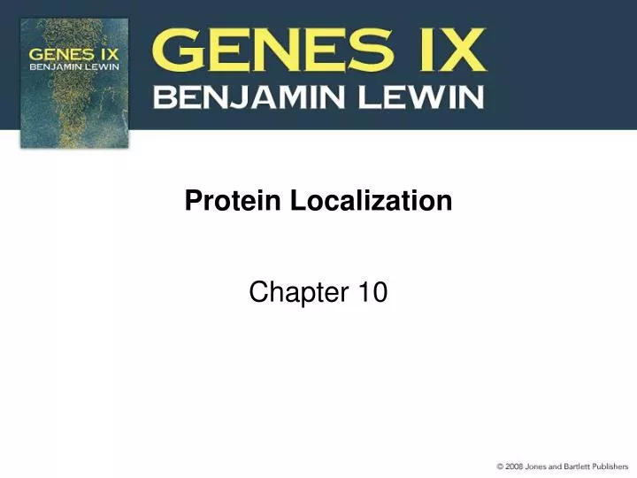 protein localization