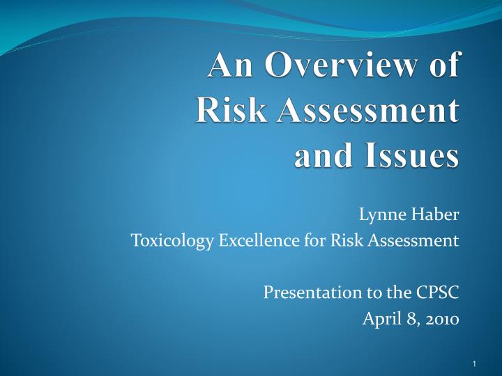 an overview of risk assessment and issues