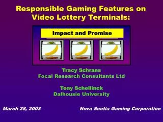 Responsible Gaming Features on Video Lottery Terminals: