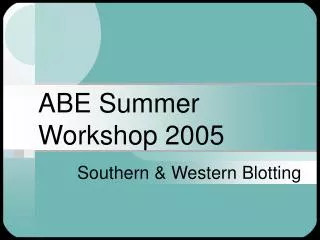 ABE Summer Workshop 2005